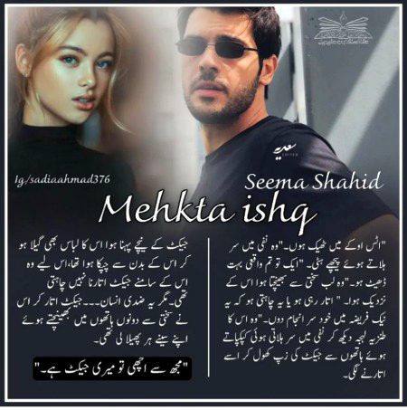 Romantic Novels image