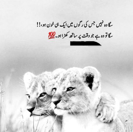 Life Advice image