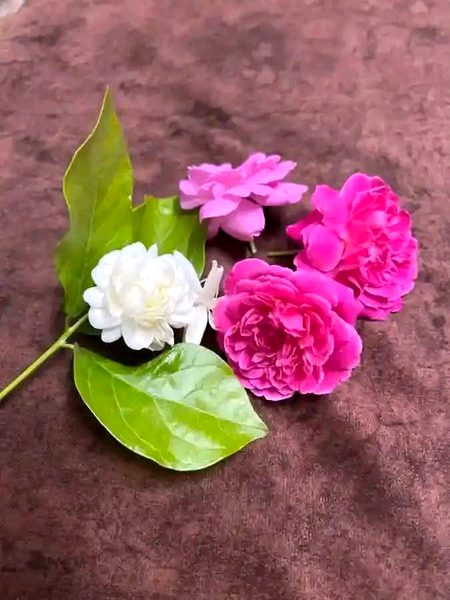 For you Raz Sister