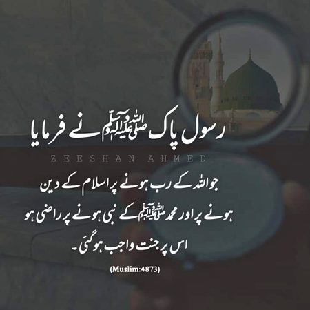 Islamic Quotes image