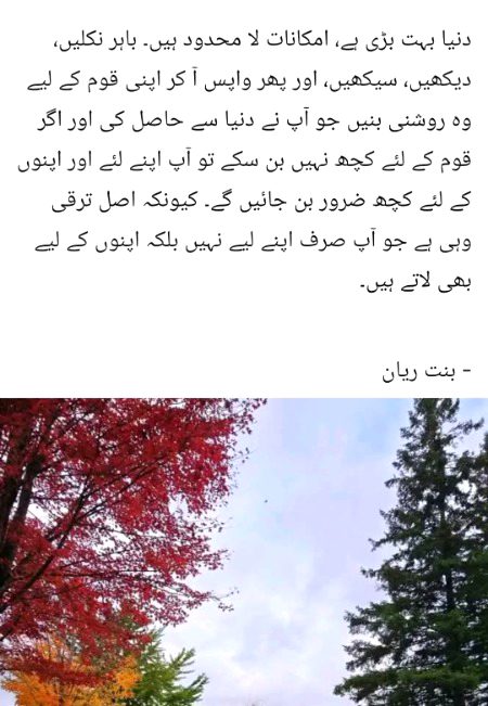 Beautiful Nature image