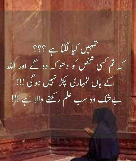 Islamic Quotes image