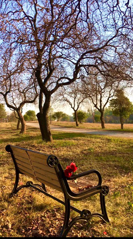 Beautiful People image