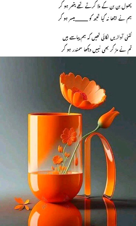 🌹 merijan-16 🌹