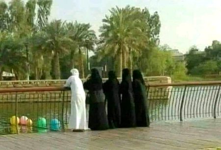 میں چاہتا ہوں میرے بھی ایسے ہی کھجوروں کے باغات ہوں۔۔۔😍
#اشاہ