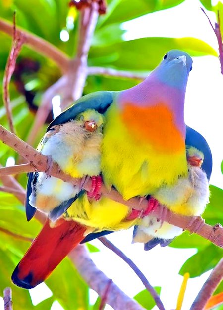 Beautiful Nature image