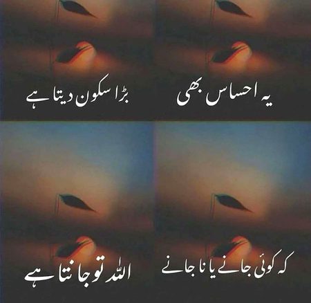 Islamic Quotes image