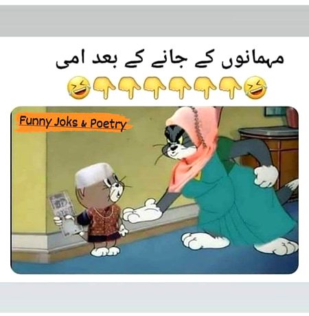 Memes & Satire image