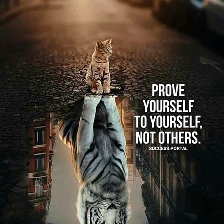 Motivational Quotes image