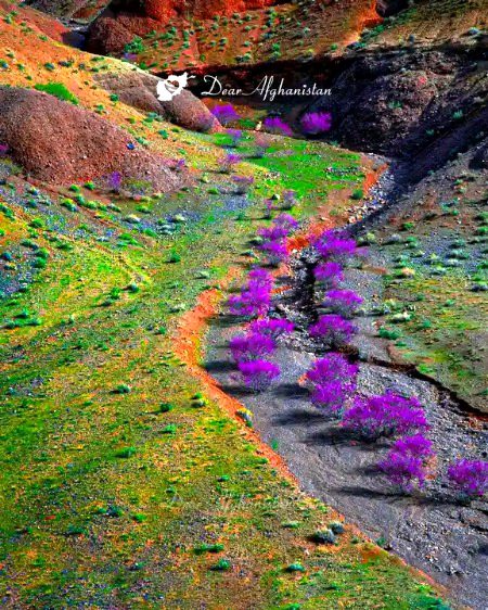 Beautiful Nature image