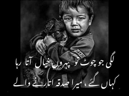 Sad Poetry image