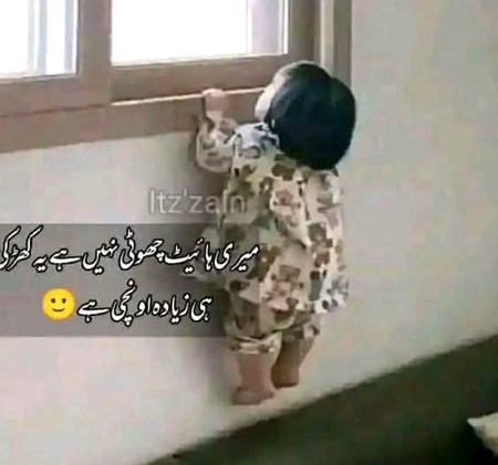 Memes & Satire image