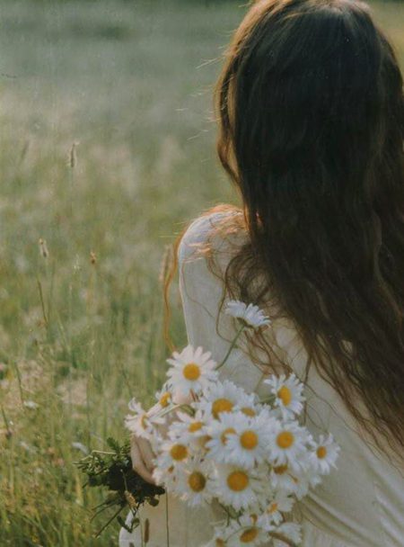 Beautiful Nature image