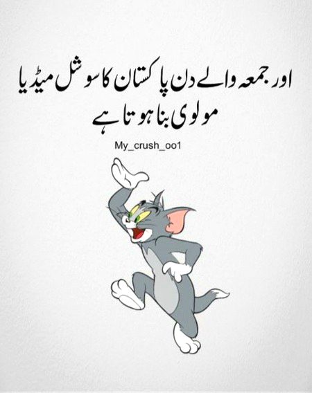 Memes & Satire image