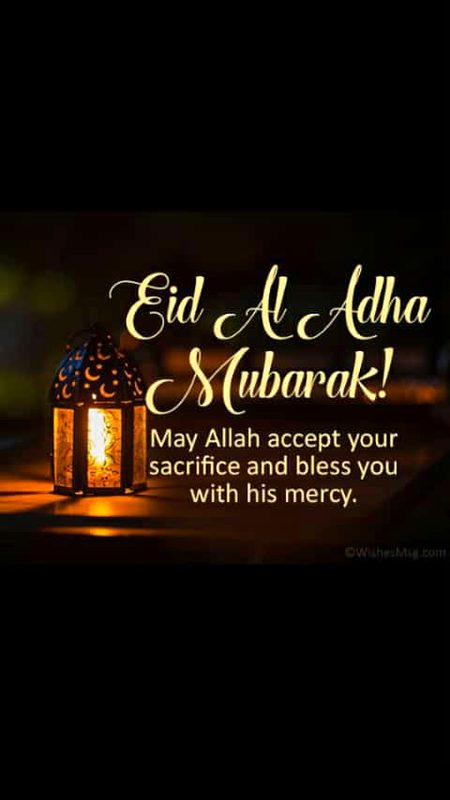 .q1 mri  trf sy ap subko😍😍