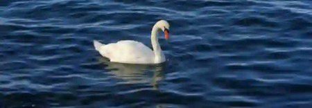 Beautiful Nature image