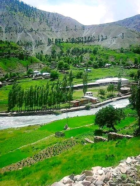 Beautiful Nature image