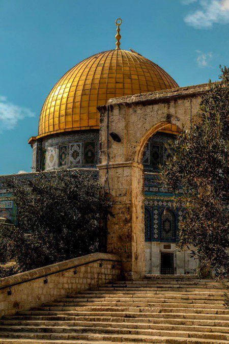 مِن نُصرتك لإخوانك في فلسطين إصلاحُ نفسِك، والتوبة والرجوع إلى الله، وصدق اللجوء إليه، والدعاء وسؤال النصر لهم.
فلسطین میں اپنے بھائیوں کے لیے آپ کی حمایت کا ایک حصہ اپنی اصلاح کرنا، توبہ کرنا اور خدا کی طرف لوٹنا، خلوص دل سے اس کی طرف رجوع کرنا، اور ان کے لیے دعا اور فتح کی دعا کرنا ہے۔
#غزۃ