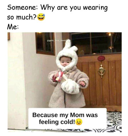 Memes & Satire image