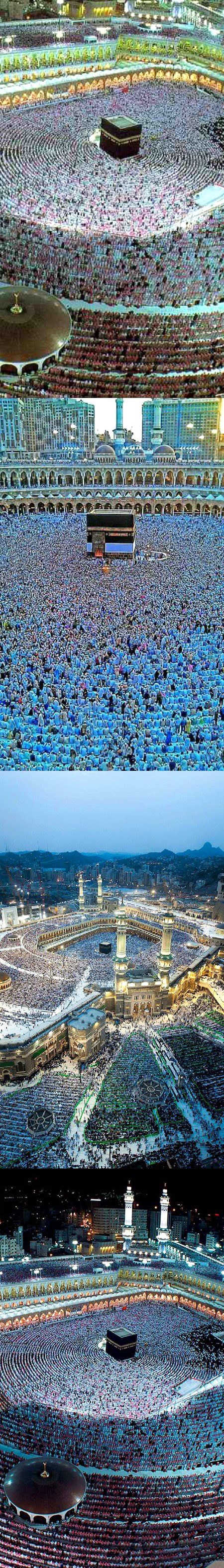 Beautiful Structures image