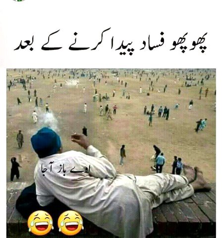 Memes & Satire image