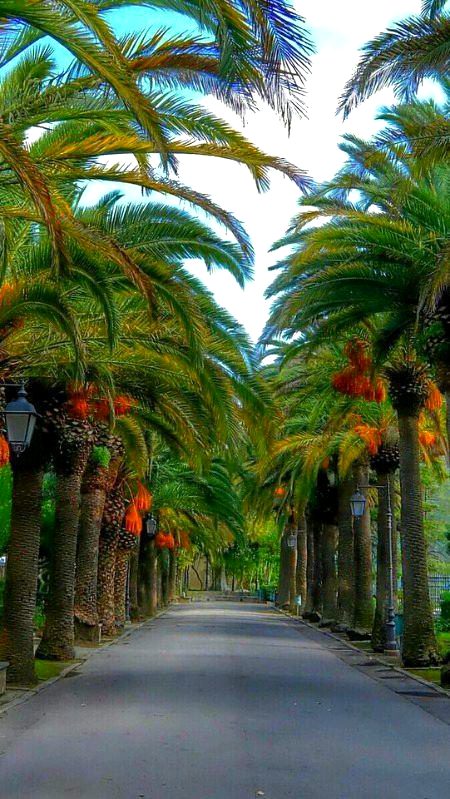 Beautiful Nature image