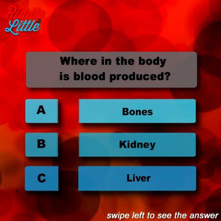 Knowledge Test image
