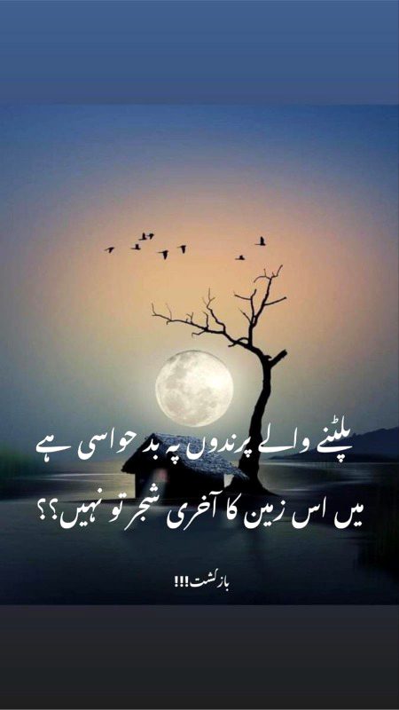 Sad Poetry image