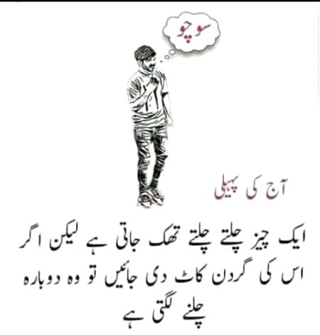 Riddles & Puzzles image