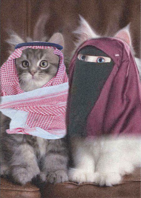 Beautiful Nature image