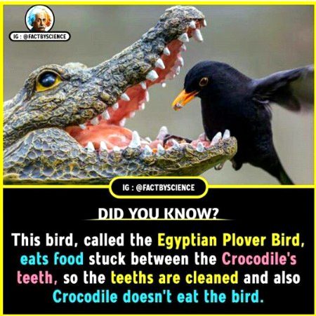 Interesting Posts image