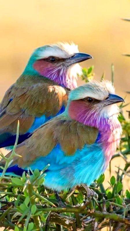 Beautiful Nature image