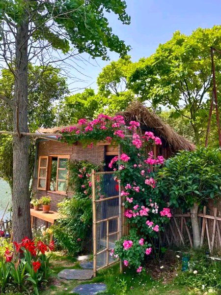 ایک چھوٹی سی جھونپڑی جو پھولوں سے گھری ہوئی ہو۔