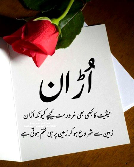 No Caption 🌺🌺🌺