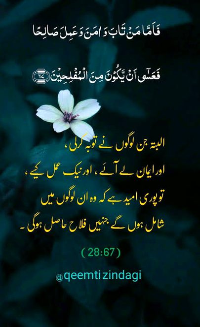 Islamic Quotes image