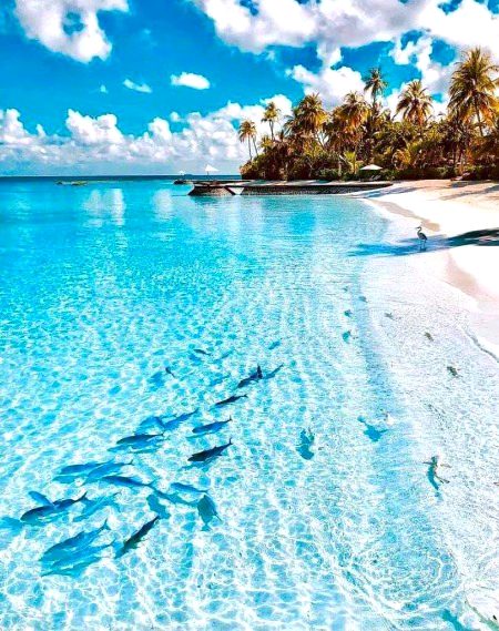 Beautiful Nature image