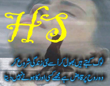 کیوں سمجھتے ہو مرضیاں میری
میں  تو  حالات  پہ منحصر  ہوں