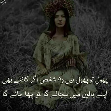 Romantic Poetry image