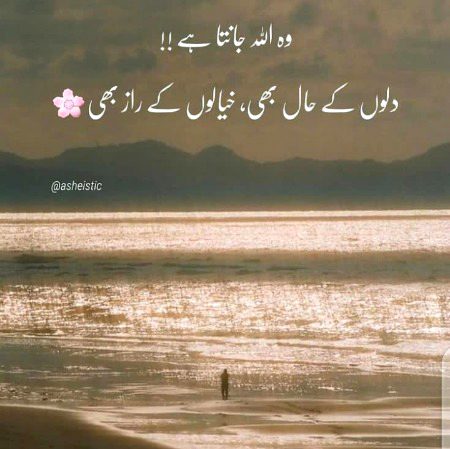 Damadam.Pk
