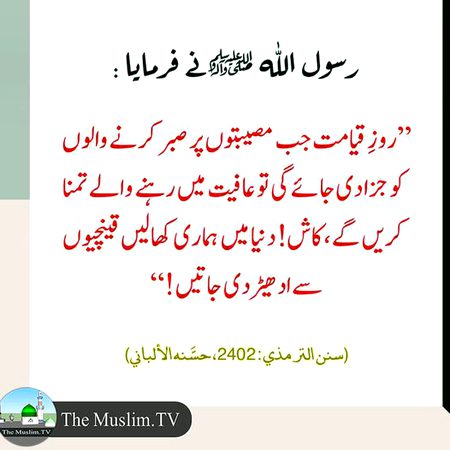 ALLAH PAK HUAMRA SHUMARA SABREEN MAIN FRMHAIN AMEEEN