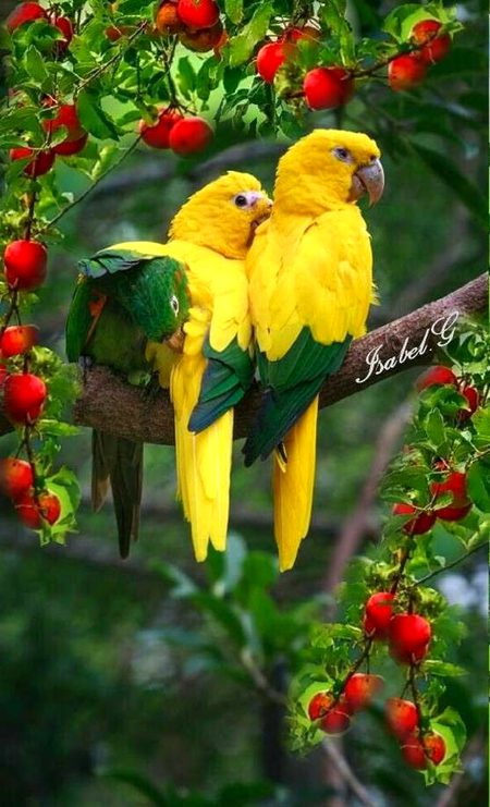 Beautiful Nature image