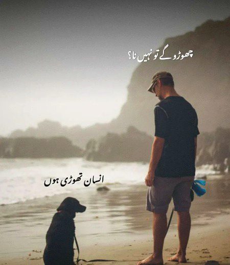 Esko kahty hen wafa