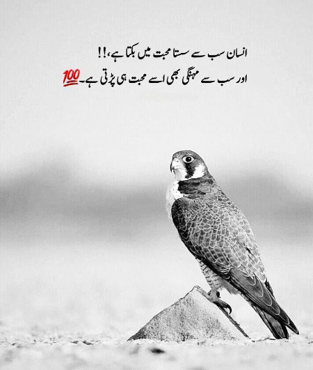 Life Advice image
