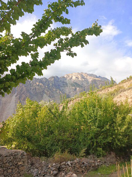 Beautiful Nature image