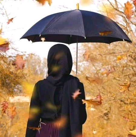 Beautiful Nature image