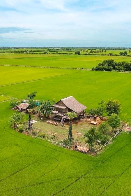 Beautiful Nature image