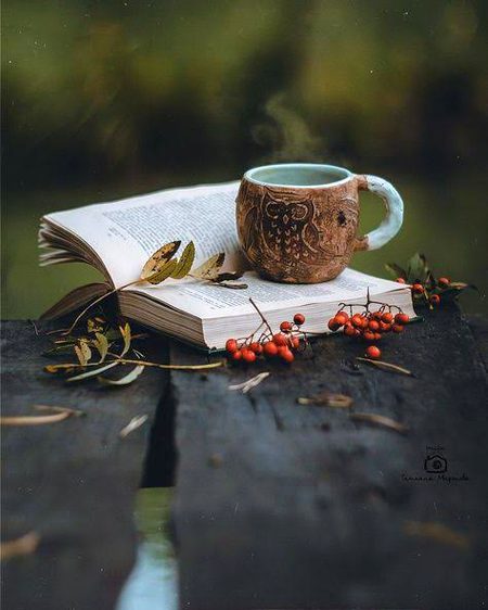 چائے☕ کے کپ میں صرف چائے ہی نہیں ہوتی
سکون ہوتا ہے سلیقہ ہوتا ہے تنہائیوں میں خود سے
😊گفتگو کرنے کا طریقہ ہوتا ہے