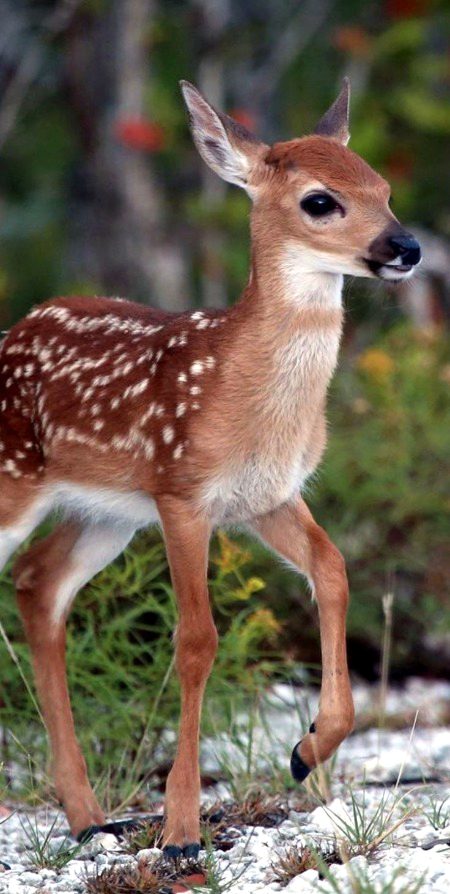 Beautiful Nature image