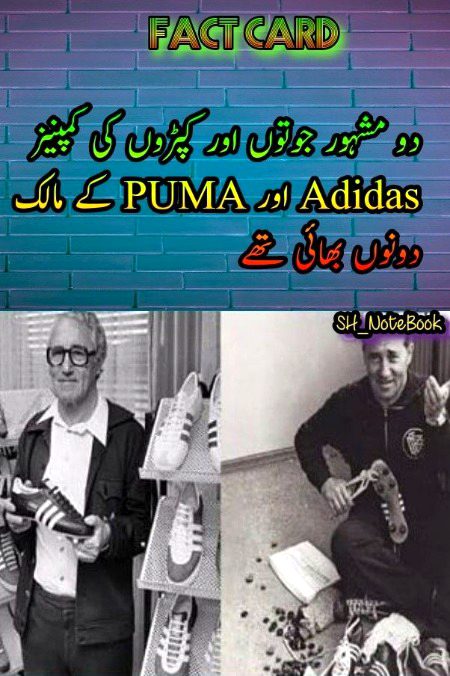 Interesting Posts image