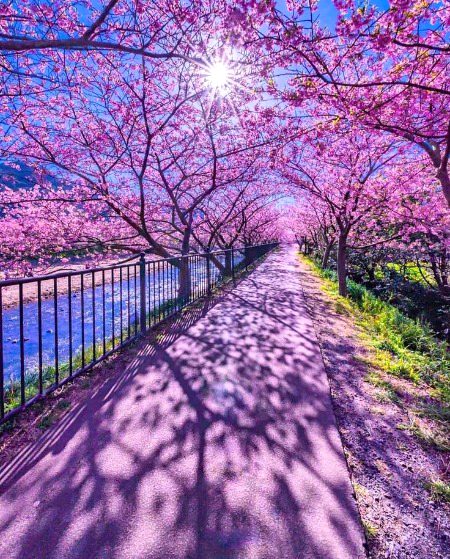 Beautiful Nature image